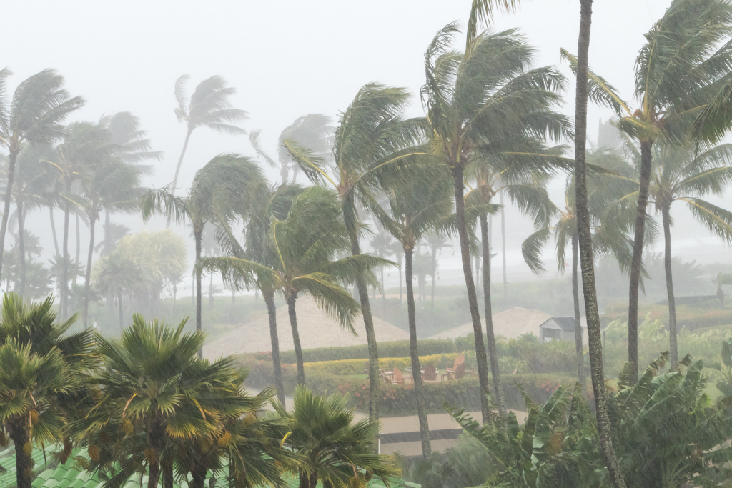 10 steps to cyclone prep these holidays